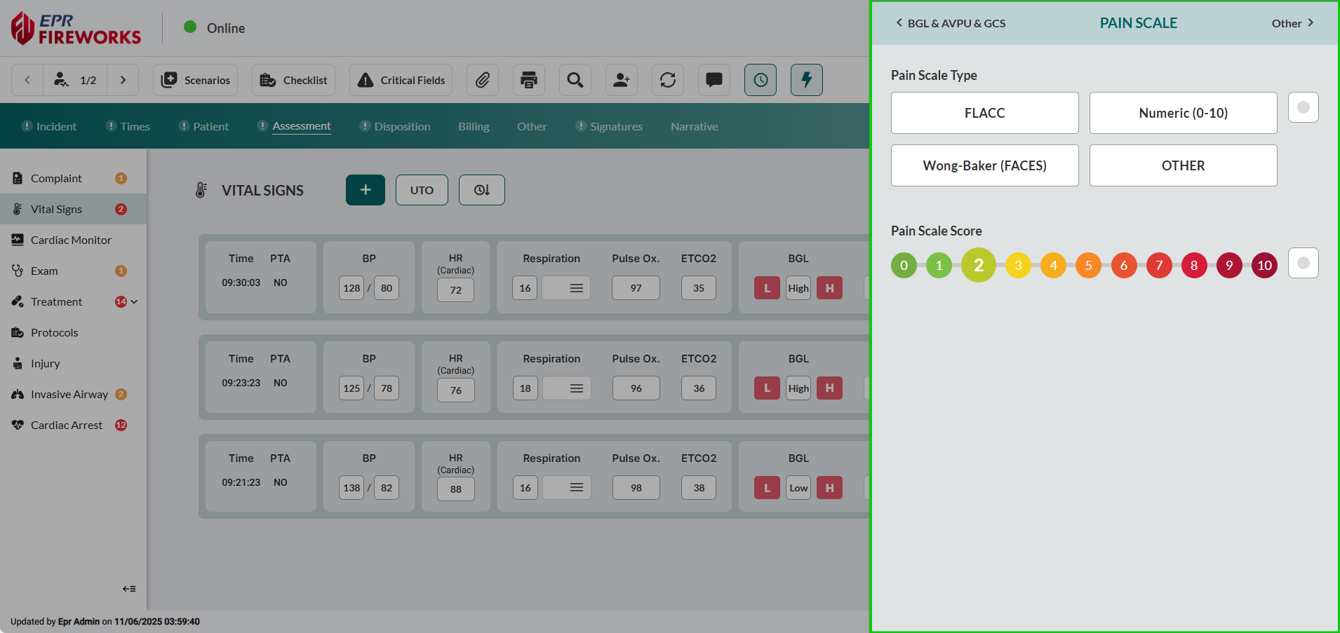 Pain Scale main row field with sidebar showing Pain Scale Type options and numeric scoring interface