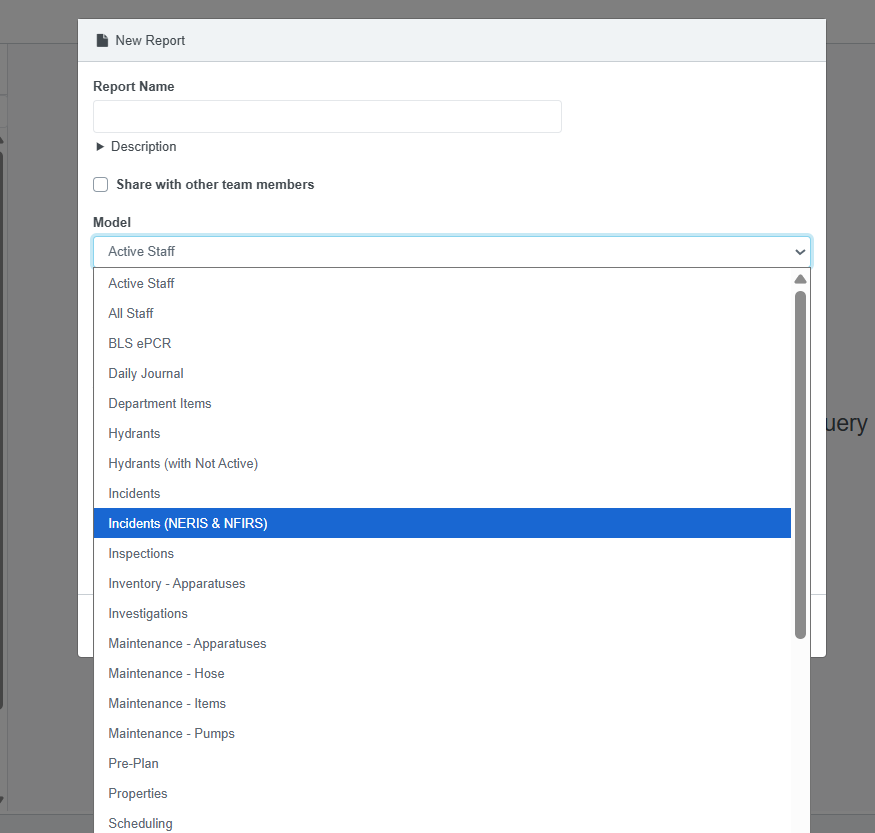 Report Generator NERIS options